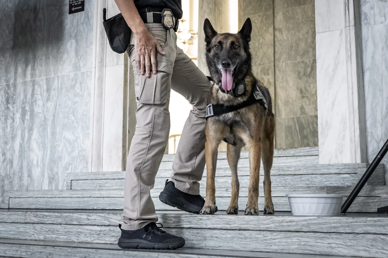 DHS Working Canine Showcase on the Hill (007) Image: DHS Working Canine Showcase on the Hill (007)