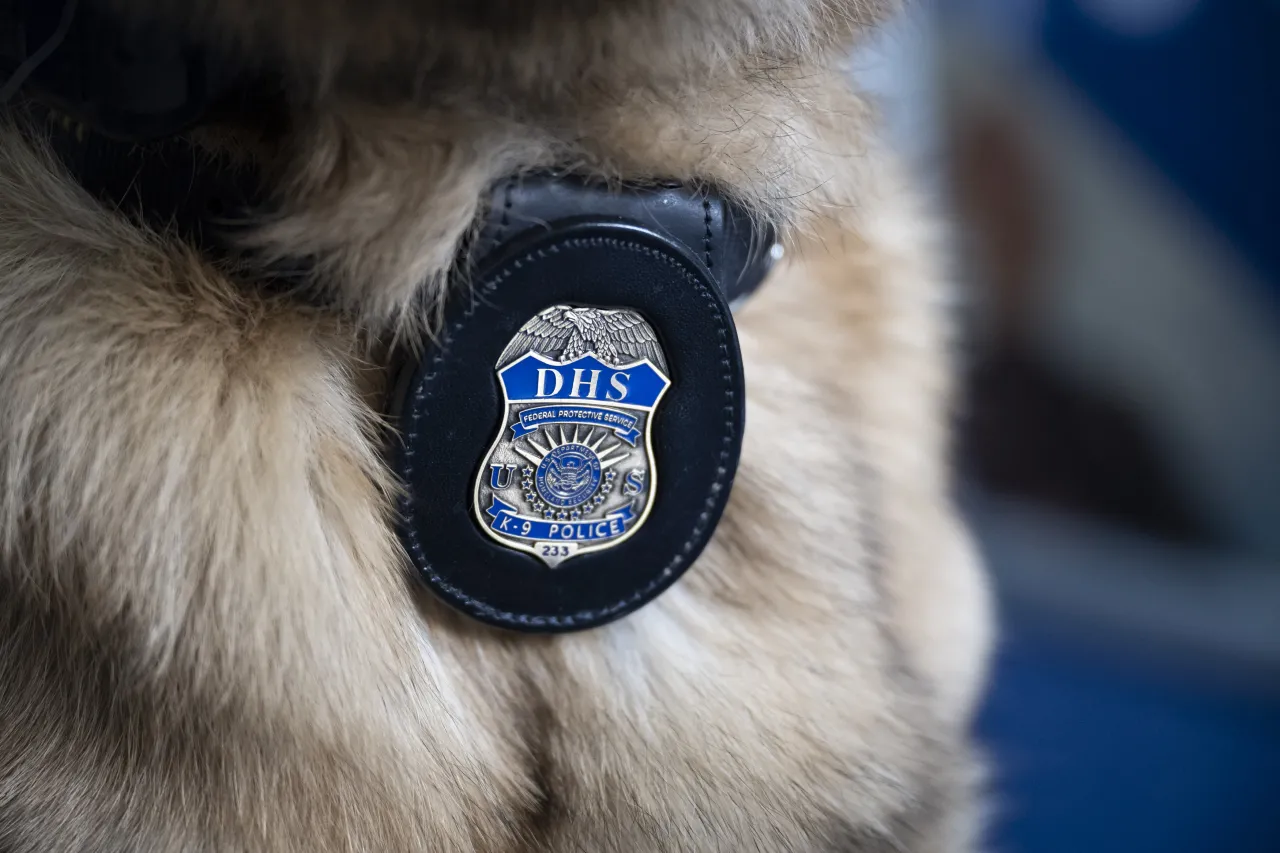 DHS Working Canine Showcase on the Hill (008) Image: DHS Working Canine Showcase on the Hill (008)