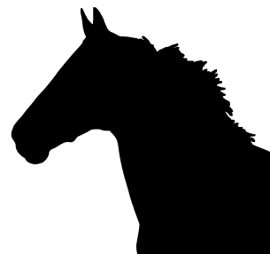 Horse graphic