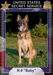 In Memoriam photo of K9 Baby, US Secret Service