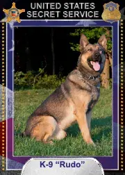In Memoriam image of K9 Rudo, US Secret Service