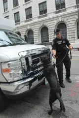 FPS Explosives Detection Canine Team in action