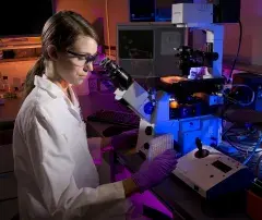 Scientist looking through a microscope